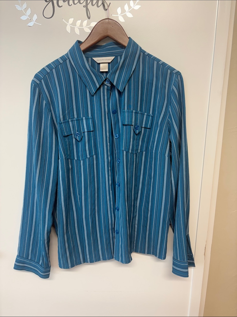 Christopher & Banks Teal and Navy Striped Button-Down Shirt